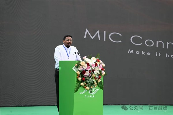 安徽石台县富硒茶的好处(石台特产富硒茶价格)-硒宝网