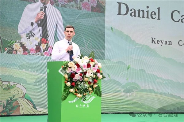 安徽石台县富硒茶的好处(石台特产富硒茶价格)-硒宝网