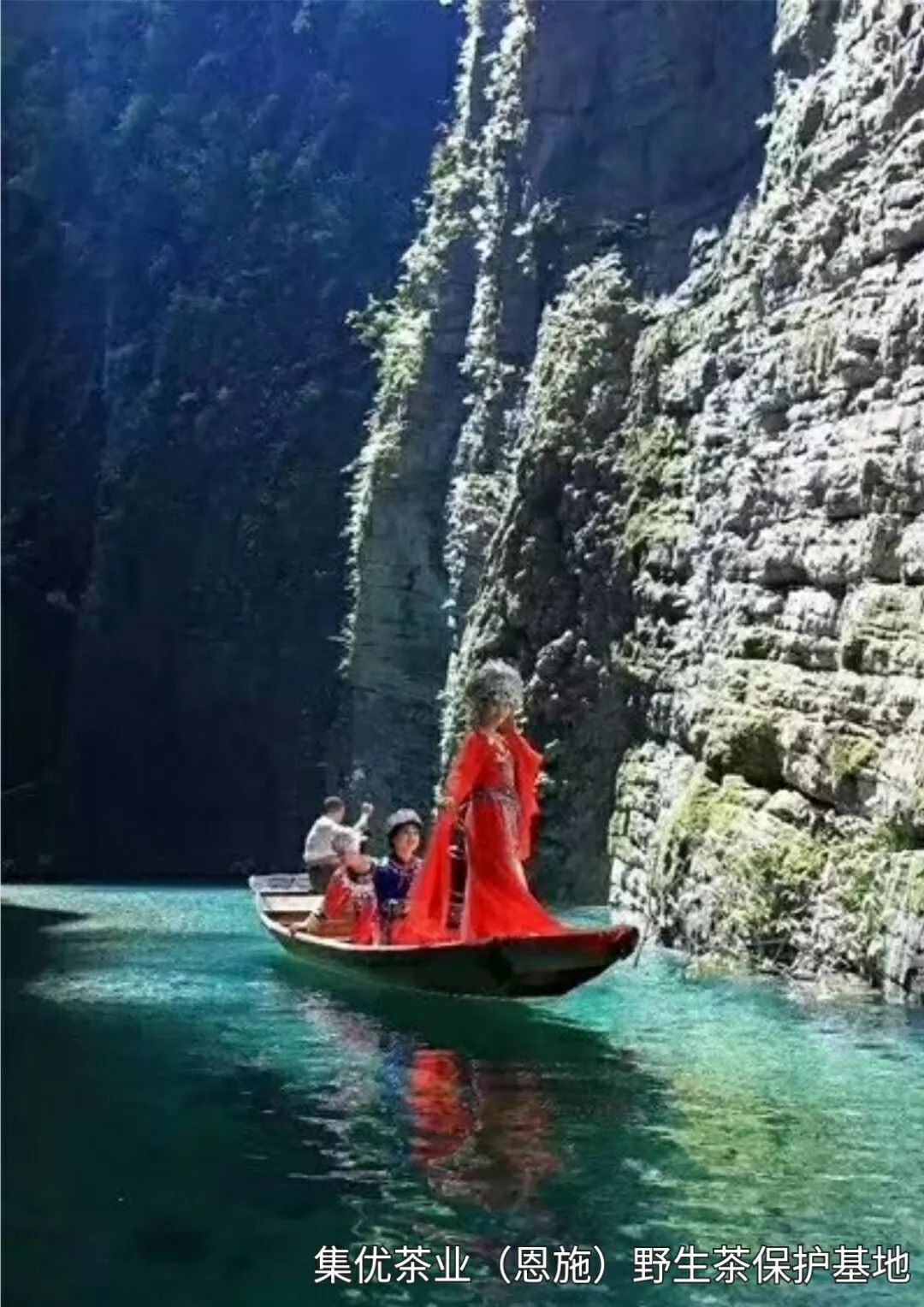 富硒茶蒸青好还是炒青好(茶叶蒸青和炒青的区别)-硒宝网