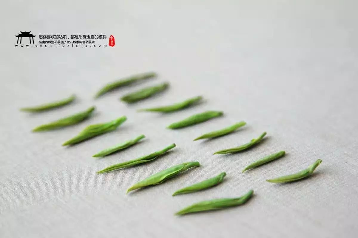 富硒茶蒸青好还是炒青好（蒸青茶和炒青茶优劣）-硒宝网