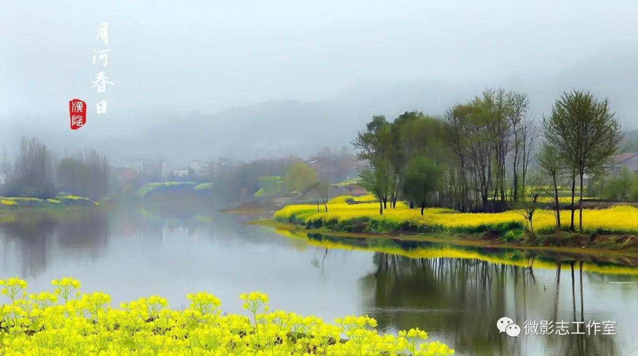 汉阴哪里有富硒茶卖的啊（茶卖富硒汉阴有卖吗）-硒宝网