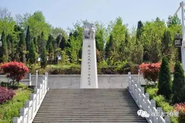 汉阴哪里有富硒茶卖的?。ú杪舾晃阂跤新袈穑?硒宝网