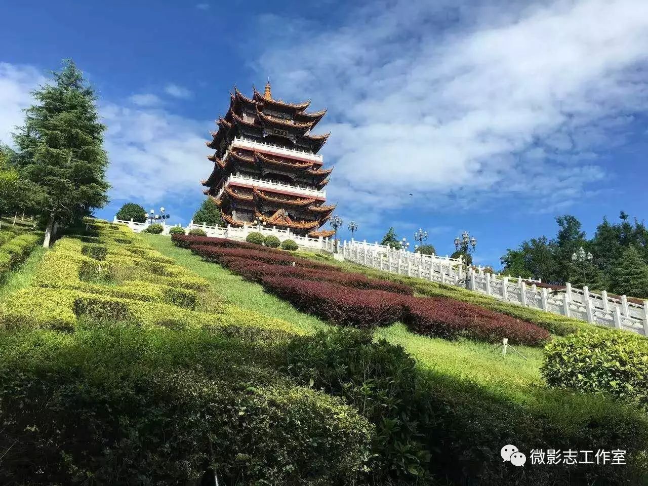 汉阴哪里有富硒茶卖的啊（茶卖富硒汉阴有卖吗）-硒宝网