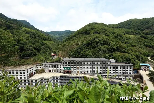 旬阳县有特产紫阳富硒茶(紫阳富硒茶厂有哪些)-硒宝网