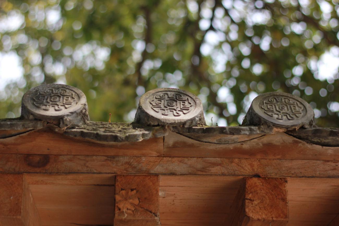 富硒紫阳茶在西安有店吗（紫阳富硒茶园）-硒宝网