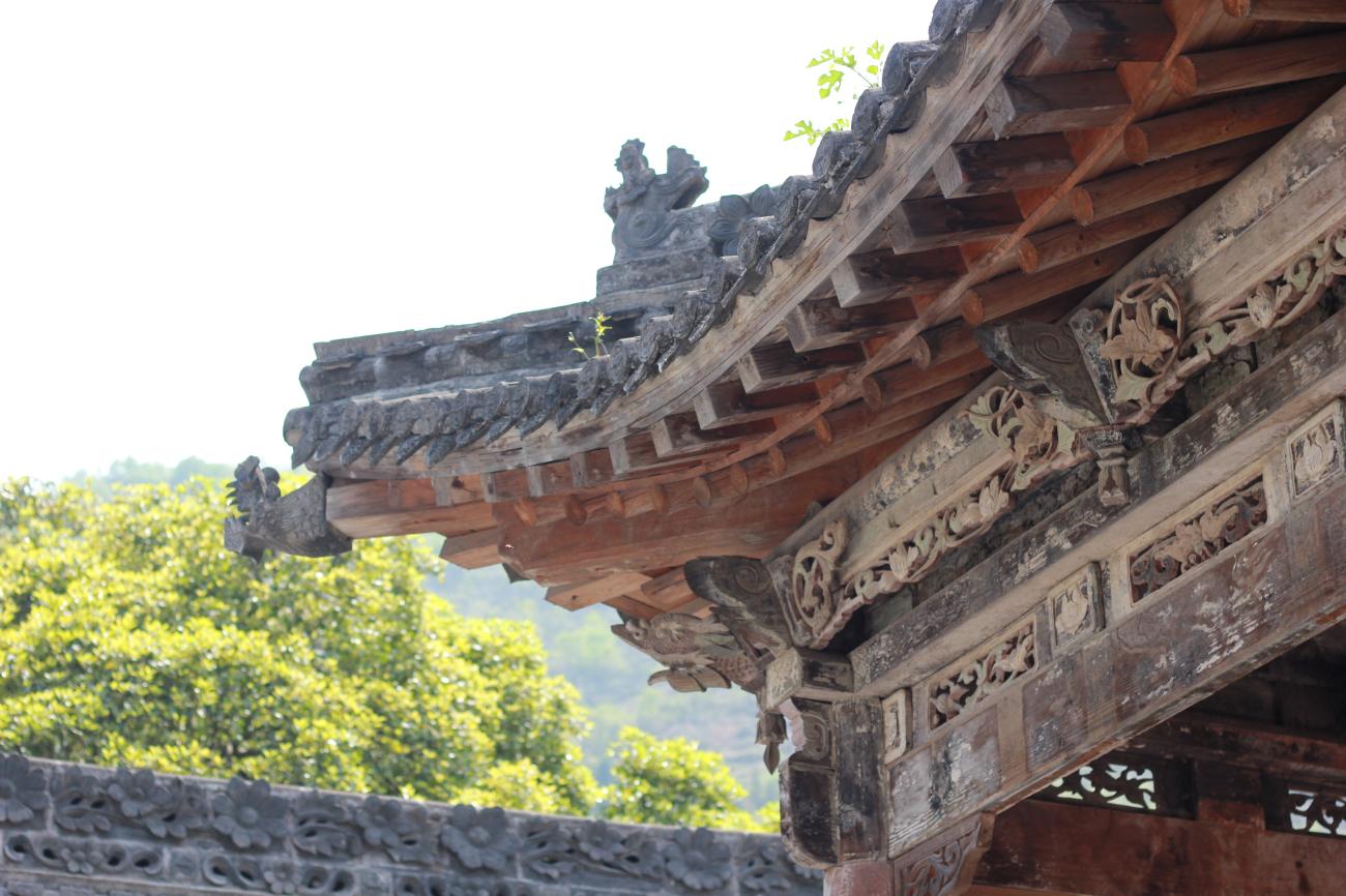 富硒紫阳茶在西安有店吗（紫阳富硒茶园）-硒宝网