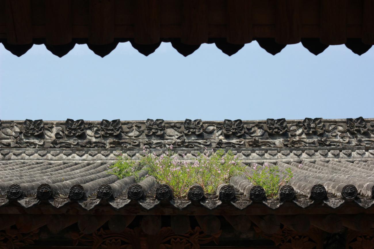 富硒紫阳茶在西安有店吗（紫阳富硒茶园）-硒宝网