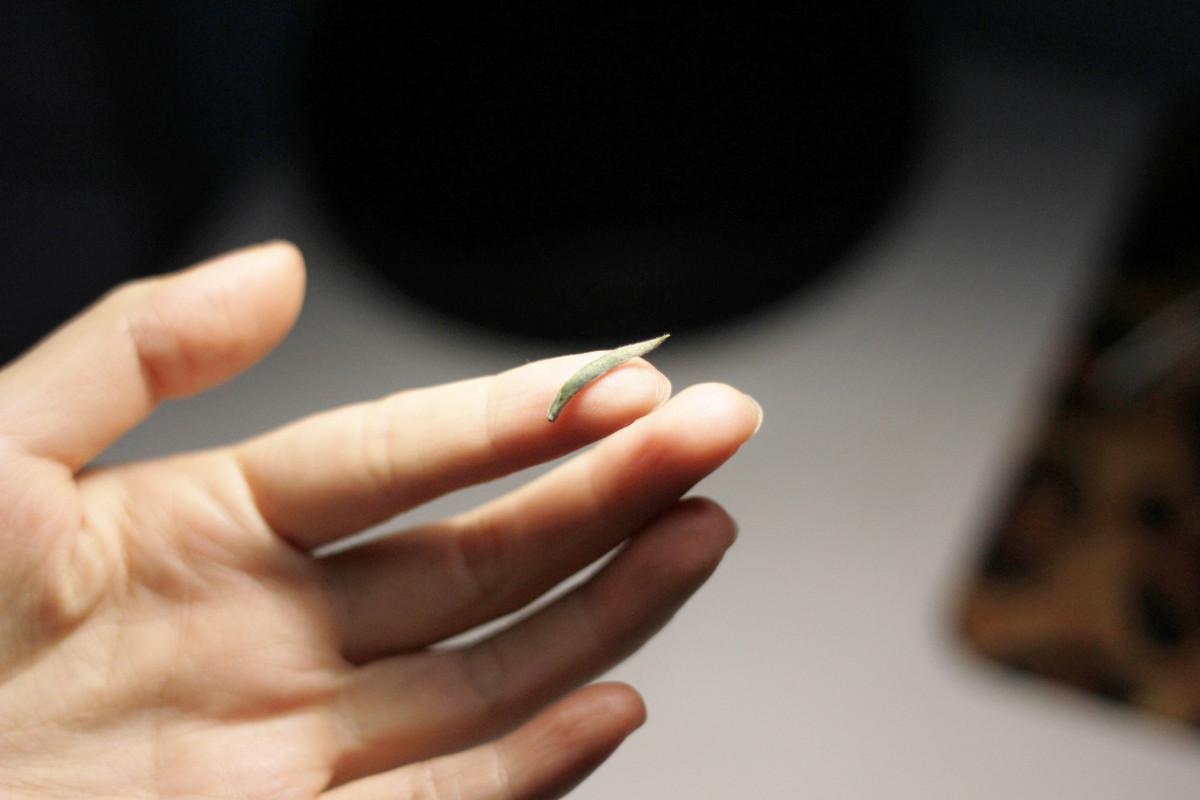 富硒紫阳茶在西安有店吗（紫阳富硒茶园）-硒宝网