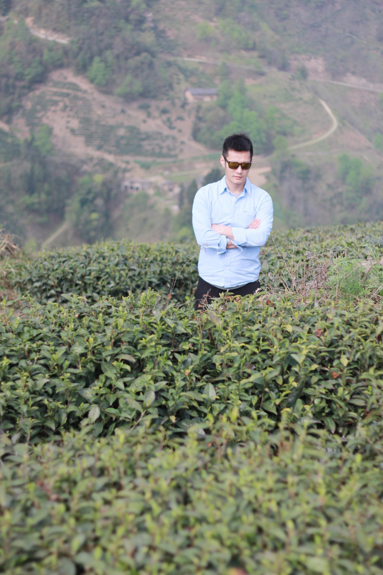 富硒紫阳茶在西安有店吗（紫阳富硒茶园）-硒宝网