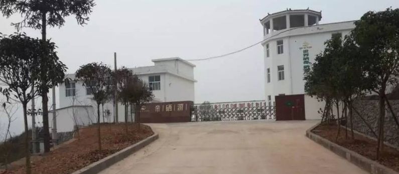 中国有哪些地方产富硒茶（中国富硒茶哪些地方产）-硒宝网