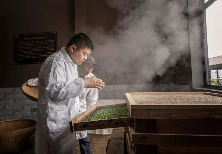 中国有哪些地方产富硒茶（中国富硒茶哪些地方产）-硒宝网