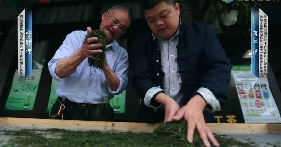 中国有哪些地方产富硒茶（中国富硒茶哪些地方产）-硒宝网