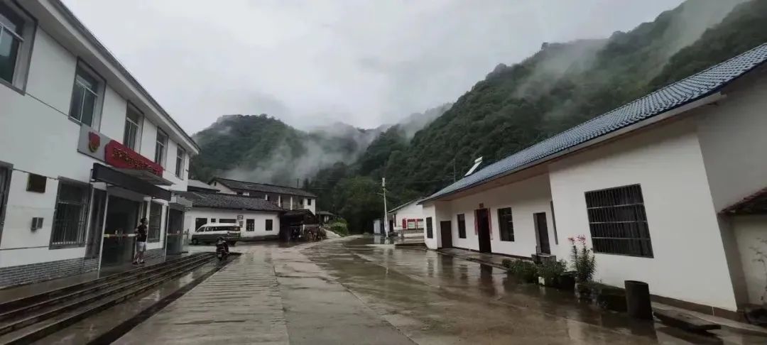 石台山大山村富硒野生茶(石台大山富硒养生度假山庄)-硒宝网
