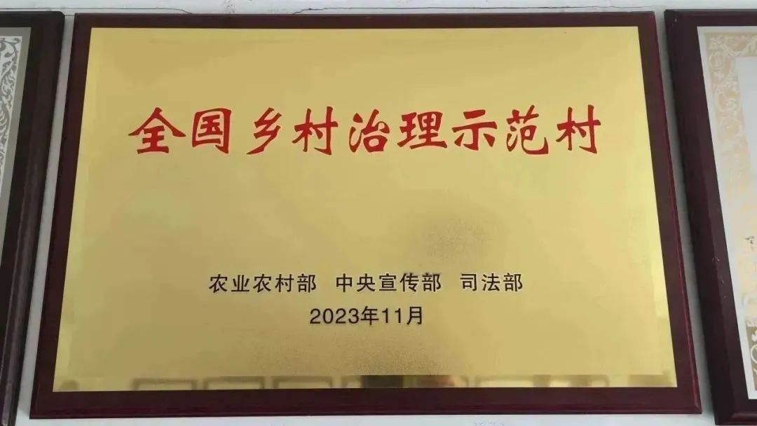 石台山大山村富硒野生茶(石台大山富硒养生度假山庄)-硒宝网