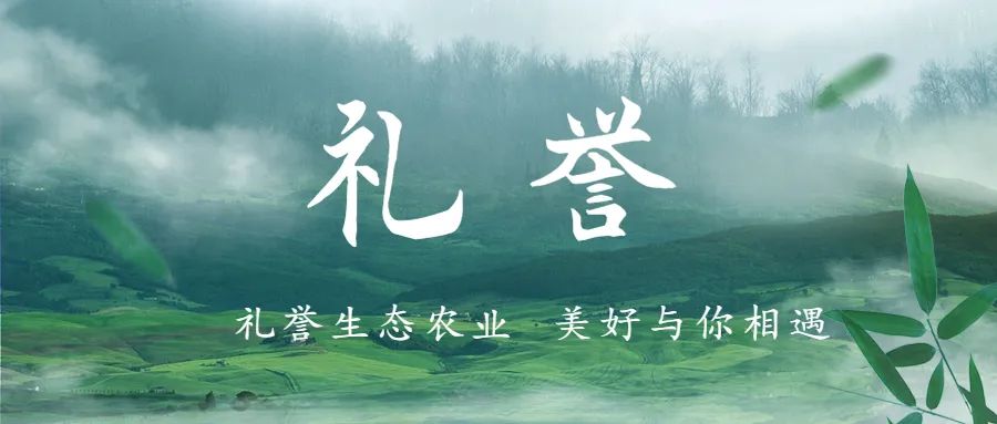 贵州哪些地方产富硒茶好(贵州富硒茶多少钱一斤)-硒宝网