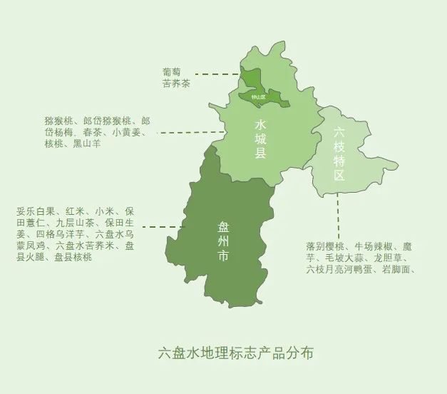 贵州哪些地方产富硒茶好(贵州富硒茶多少钱一斤)-硒宝网