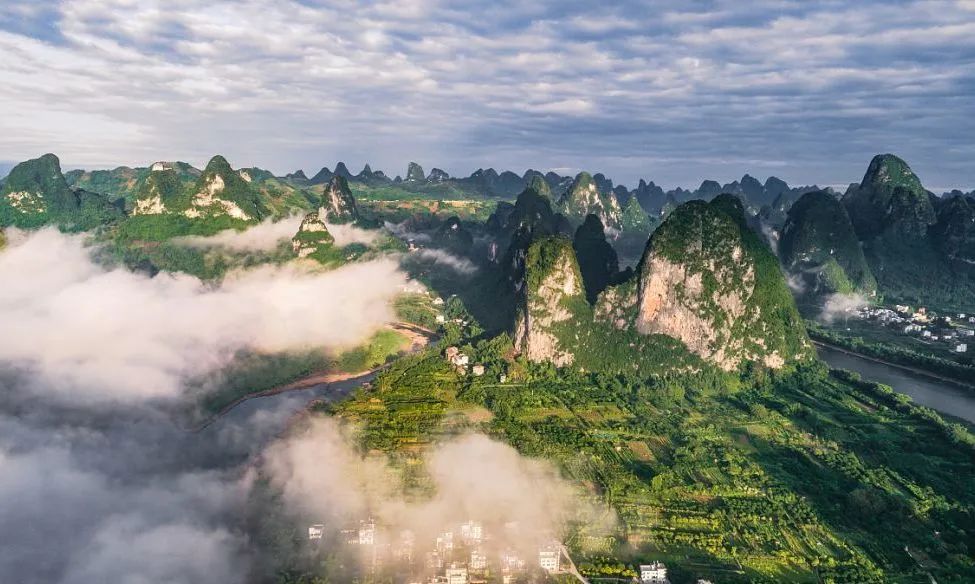 贵州哪些地方产富硒茶好(贵州富硒茶多少钱一斤)-硒宝网