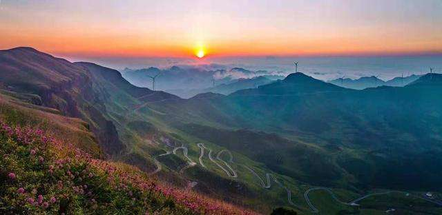 贵州哪些地方产富硒茶好(贵州富硒茶多少钱一斤)-硒宝网
