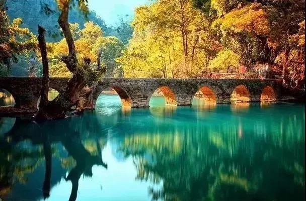 贵州哪些地方产富硒茶好(贵州富硒茶多少钱一斤)-硒宝网