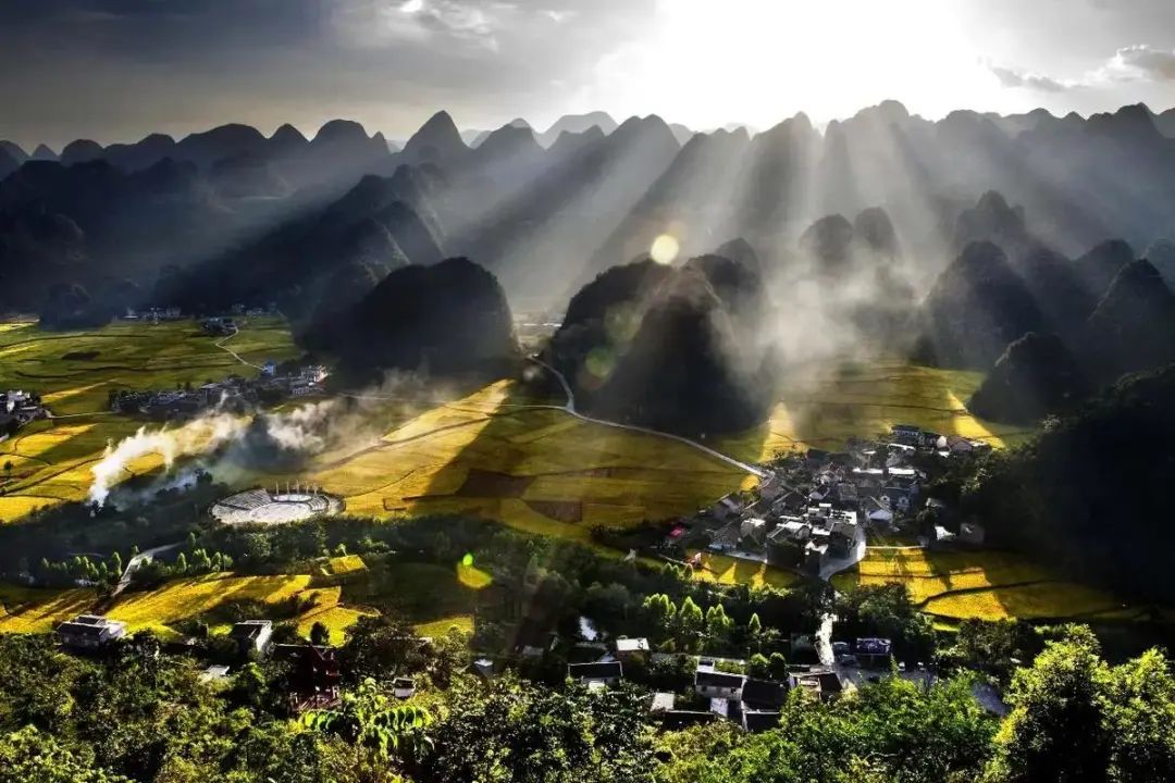 贵州哪些地方产富硒茶好(贵州富硒茶多少钱一斤)-硒宝网