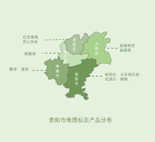 贵州哪些地方产富硒茶好(贵州富硒茶多少钱一斤)-硒宝网