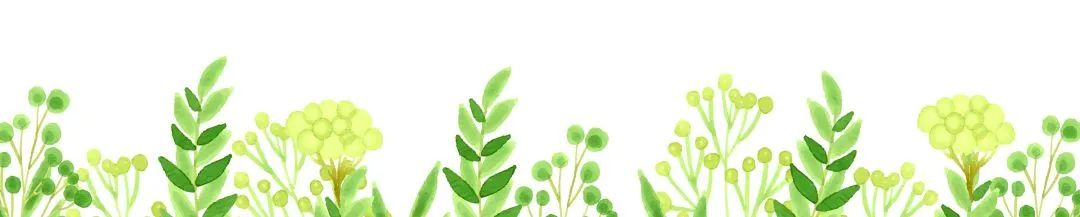 石台山大山村富硒野生茶(石台县大山富硒村)-硒宝网