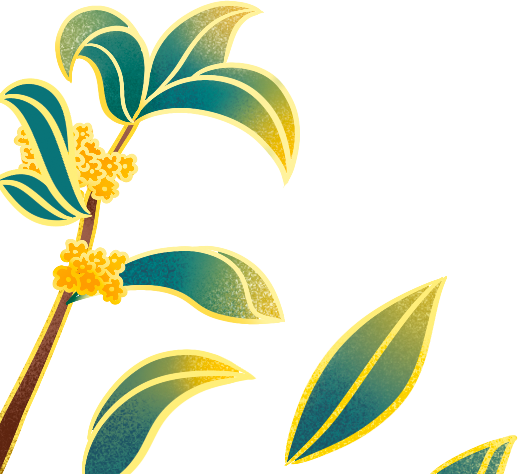 石台山大山村富硒野生茶(石台县大山富硒村)-硒宝网