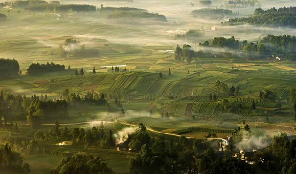 凤冈富硒茶产量多少年了(富硒茶叶价格)-硒宝网