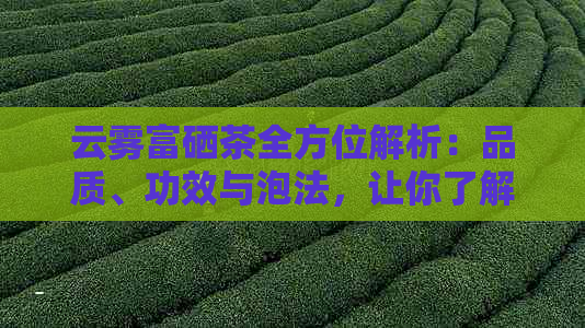 富硒茶用什么泡的更好喝(富硒的茶)-硒宝网