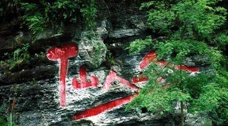 雷公山富硒清明茶法人是(雷公山清明茶是什么茶)-硒宝网