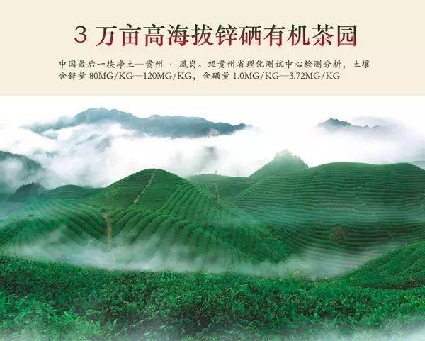 雷公山富硒清明茶法人是(雷公山清明茶是什么茶)-硒宝网