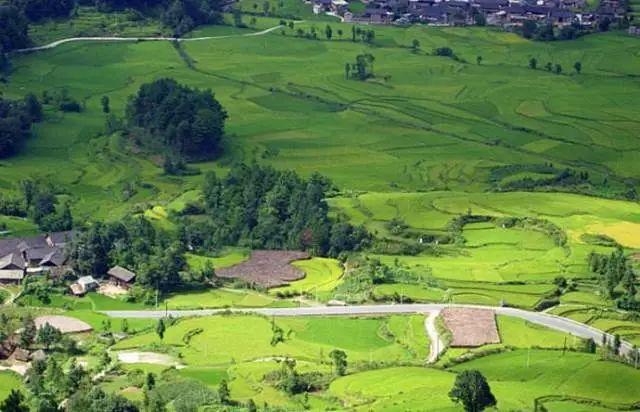 雷公山富硒清明茶法人是(雷公山清明茶是什么茶)-硒宝网