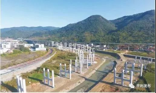 平利富硒茶一亩地产多少(富硒茶庄)-硒宝网