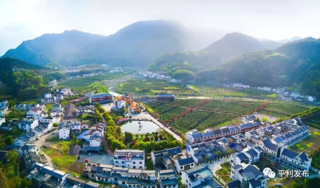 平利富硒茶一亩地产多少(富硒茶庄)-硒宝网