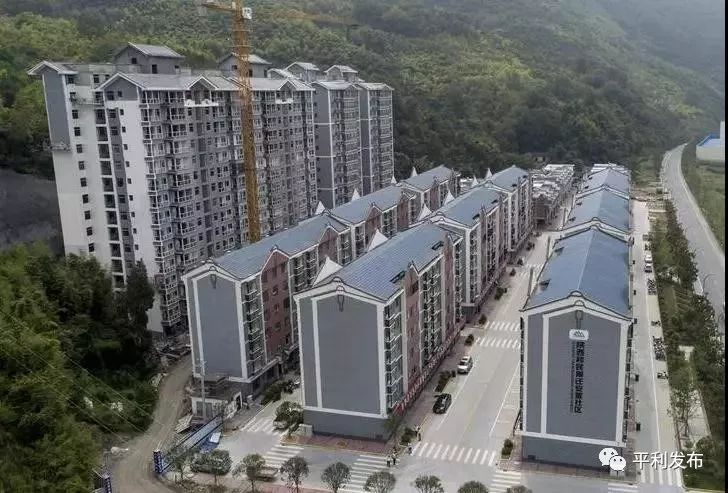 平利富硒茶一亩地产多少(富硒茶庄)-硒宝网