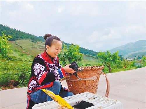 哪里的富硒苦荞茶最好喝(苦荞硒)-硒宝网