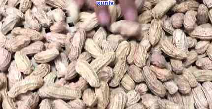 台湾富硒普洱茶哪里有卖（富硒普洱茶好处）-硒宝网