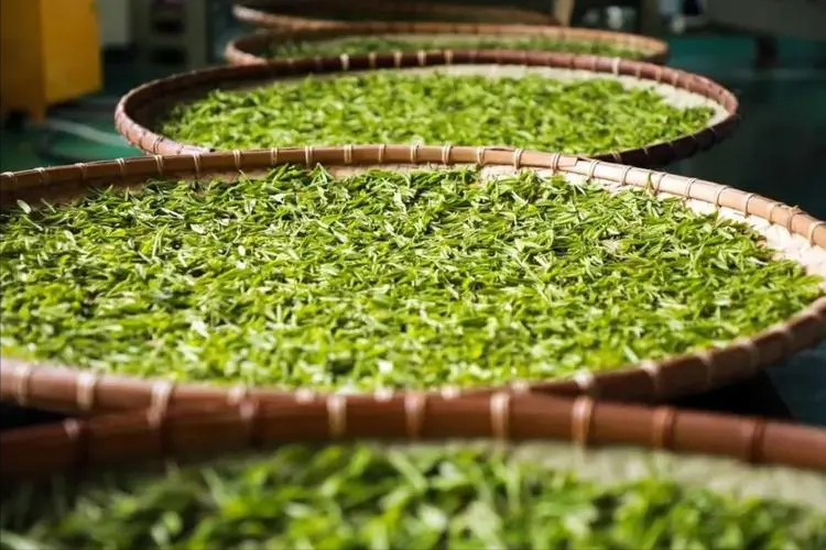 富硒水和茶哪个好用点呢(富硒茶叶)-硒宝网