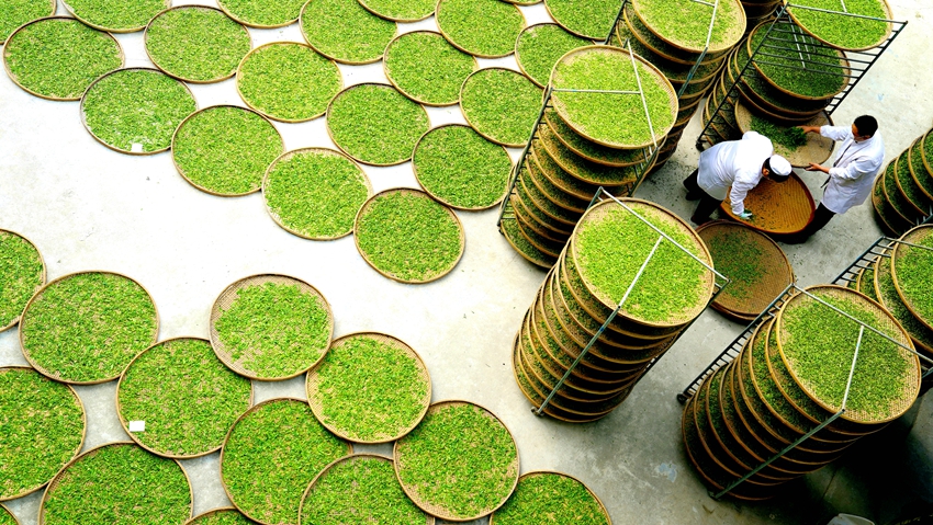 富硒有机茶红茶怎么样喝（富硒红茶的口感）-硒宝网