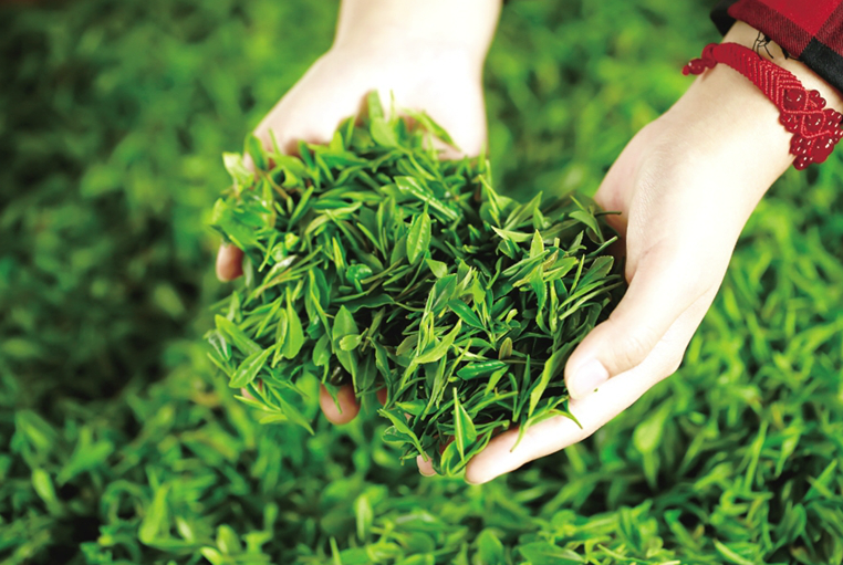 富硒茶可以煮吗有营养吗（富硒茶好吗）-硒宝网