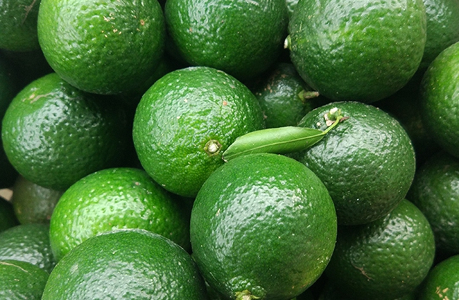 富硒普洱茶的功效与作用（普洱茶硒含量）-硒宝网