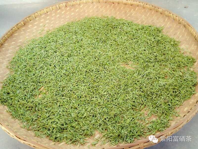 紫阳富硒茶效果如何样?。ㄗ涎舨韪晃瑁?硒宝网