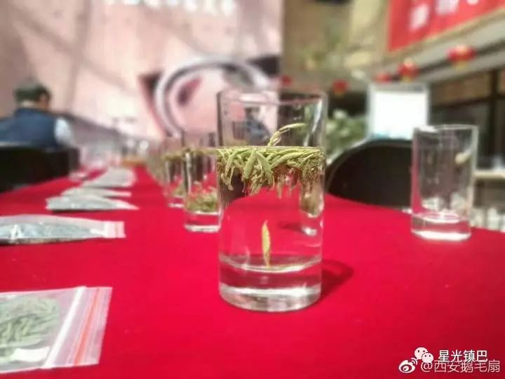 十大紫阳富硒茶产地排名(紫阳富硒茶品牌排行)-硒宝网