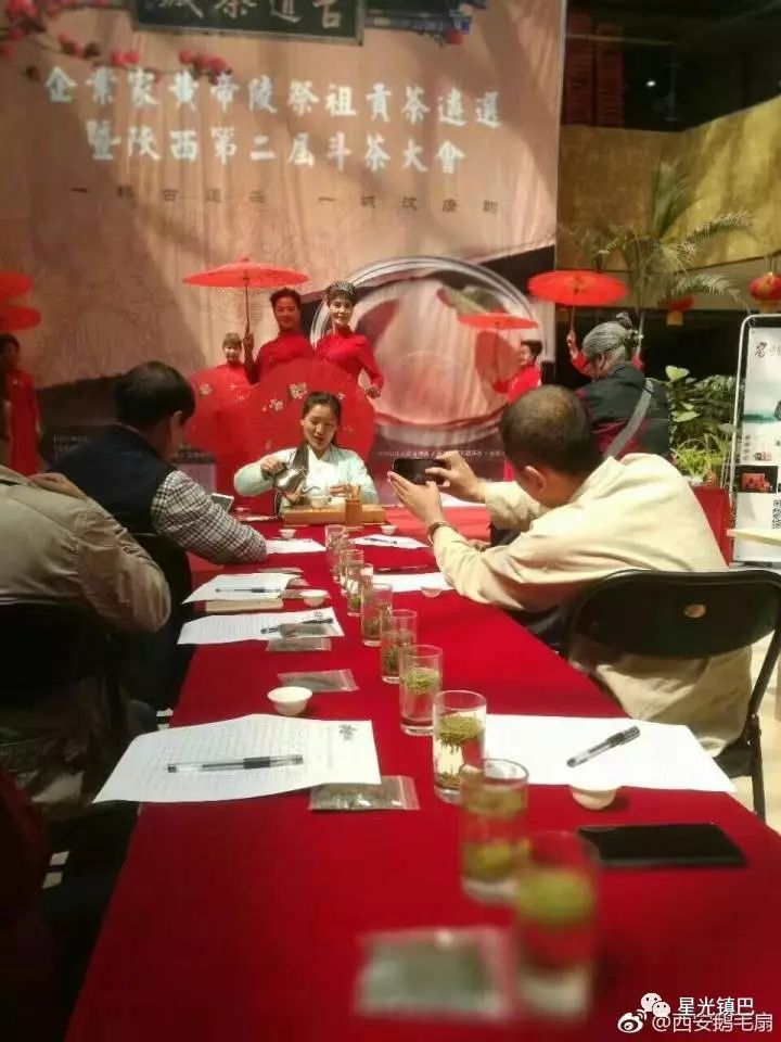 十大紫阳富硒茶产地排名(紫阳富硒茶品牌排行)-硒宝网