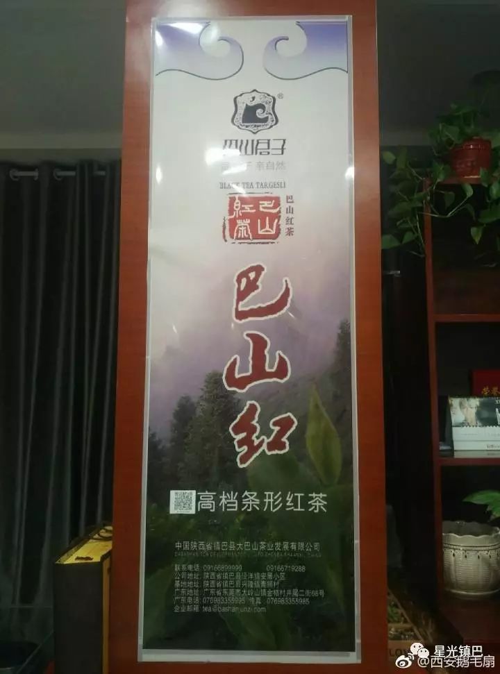 十大紫阳富硒茶产地排名(紫阳富硒茶品牌排行)-硒宝网