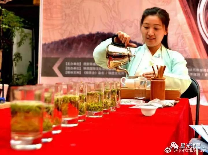 十大紫阳富硒茶产地排名(紫阳富硒茶品牌排行)-硒宝网