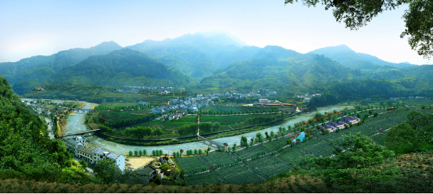 西安茶叶批发市场富硒茶(西安市茶叶批发基地)-硒宝网