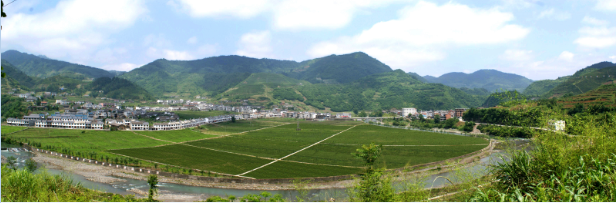 西安茶叶批发市场富硒茶(西安市茶叶批发基地)-硒宝网