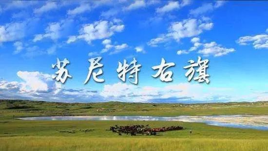 十大紫阳富硒茶产地排名(紫阳富硒茶哪里产的最好)-硒宝网