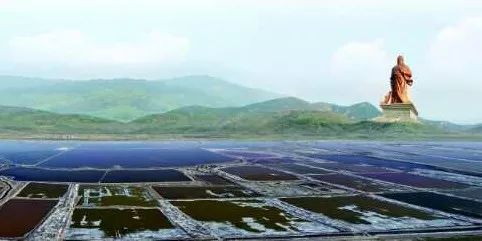 十大紫阳富硒茶产地排名(紫阳富硒茶哪里产的最好)-硒宝网